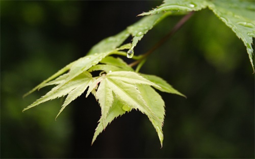 丰收互联里的储蓄账户是什么，储蓄账户是干什么的