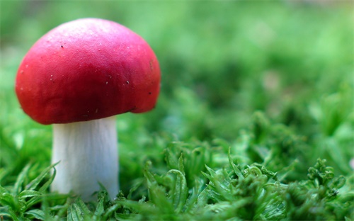 光大银行存款方式,光大银行存单不是纸质银行可以柜台取款