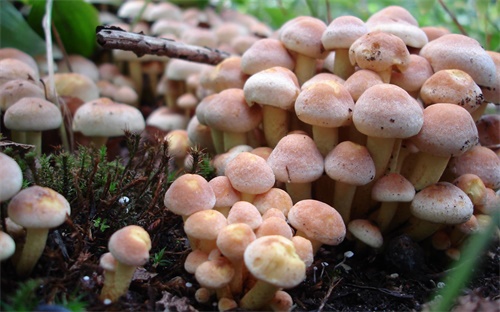 存银行活期年利率，银行活期存款的利息是多少